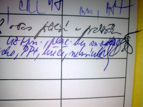 Těhotenská průkazka, pomožte mi při luštění