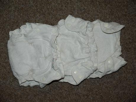 I10 twosize organic vel. s popolini, popolini,2 kg - 6 kg