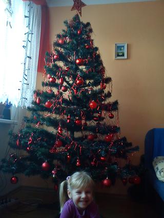 Pochlubte se vánočním stromečkem