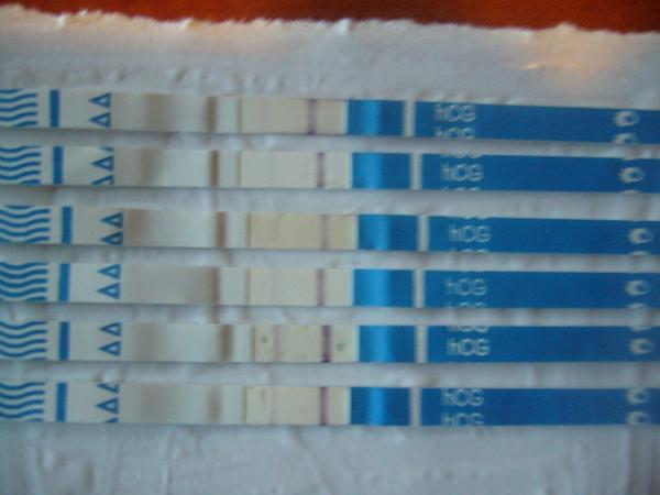 13. den po KET mám testy pozitivní, ale nesílí