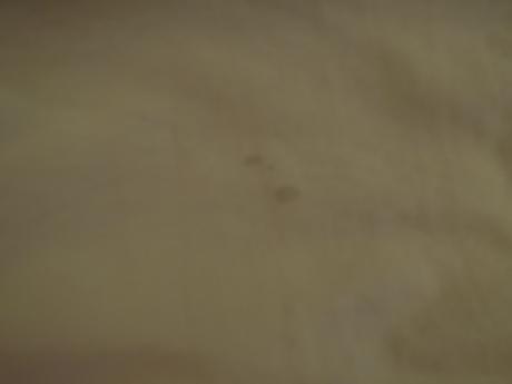 Zimní bunda next, next,86