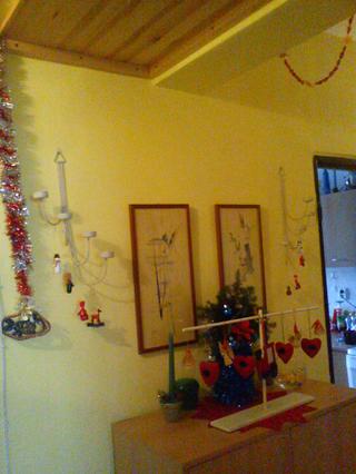 Pochlubte se vánočním stromečkem