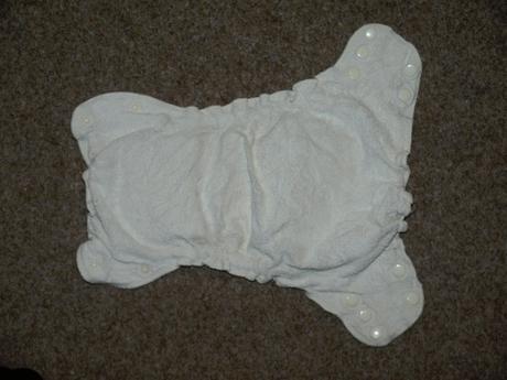 I10 twosize organic vel. s popolini, popolini,2 kg - 6 kg