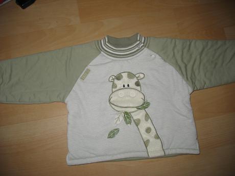 Zateplená mikina, frog,104