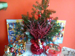 Pochlubte se vánočním stromečkem