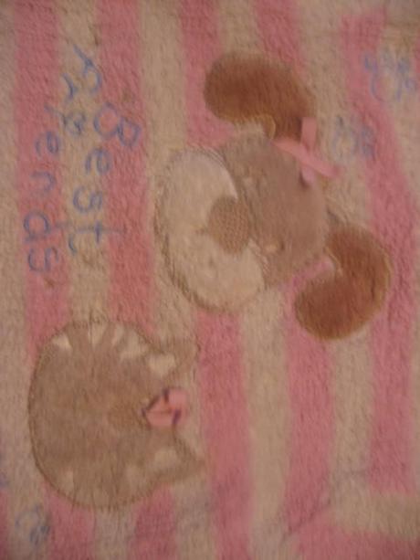 Mikino-svetr next s pejskem a kočičkou, next,98