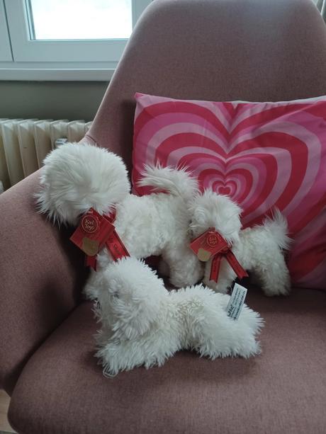 3krát plyšový bišonek, 