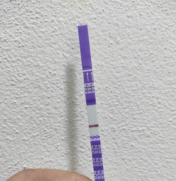 Co můžete vidět na svém testu?