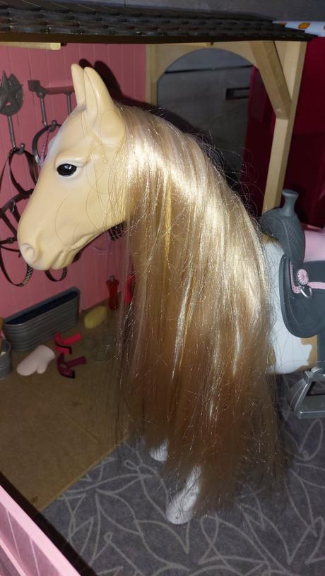 Kůň, stáj, přívěs a jezdkyně, 