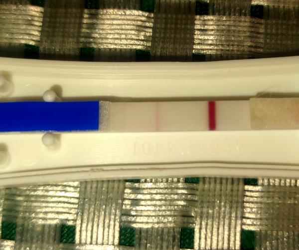 Pozitivní test z drogerie. Co myslíte?