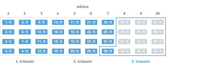 28. týden těhotenství