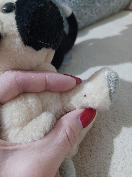 3krát plyšový pes gump, mops, 