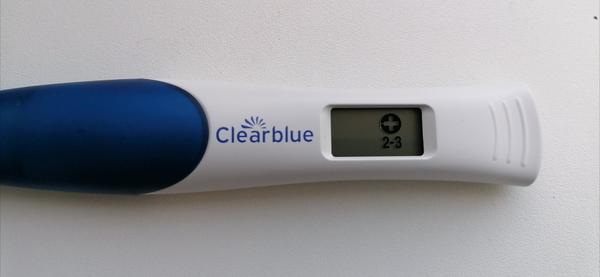 Špinění v těhotenství v době menstruace. Máte zkušenost?