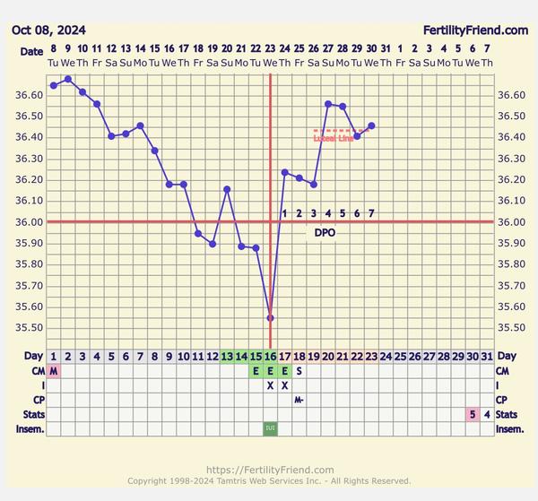 Nejistota v ovulaci a UZ vyšetření. Co s tím?