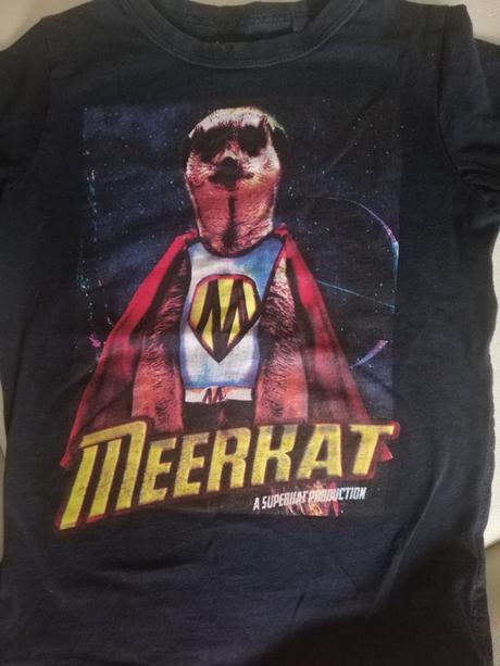 Dětské tričko, next,98