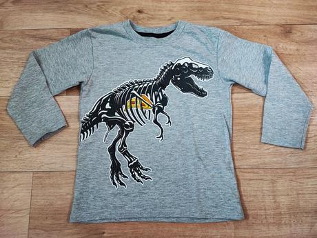 Tričko s dinosaurem, 110