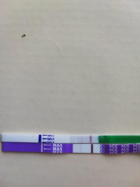 Ovulace a těhotenství: Testy ukázaly dvě čárky. Co teď?