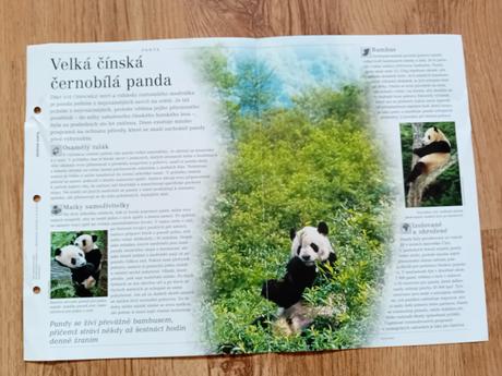 Informační letáky pro školáky,