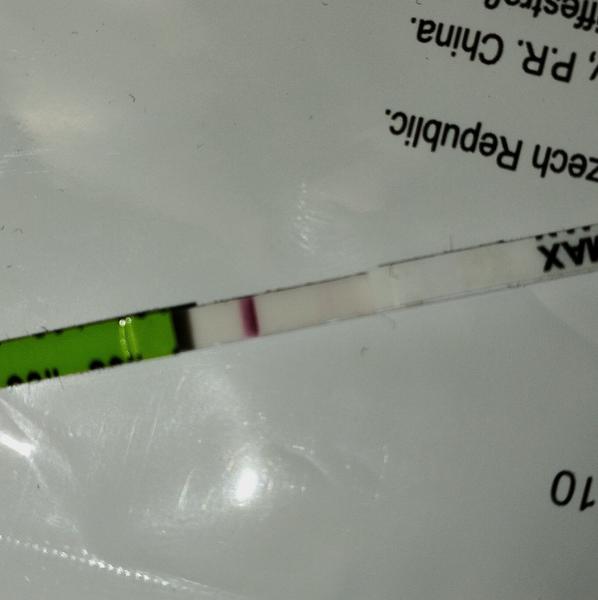 Slabá čárka na těhotenském testu. Můžu být těhotná?