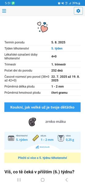 Kdy začíná skutečný pátý týden těhotenství?