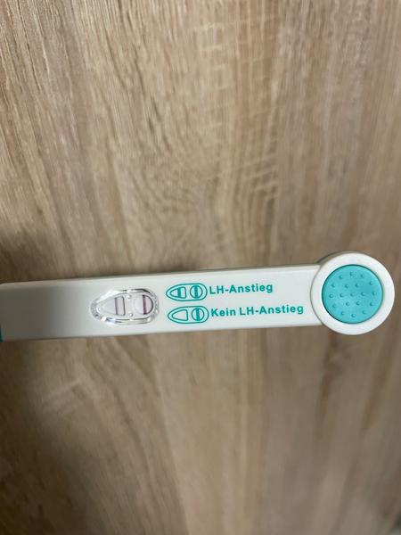 Ovulační test. Pozitivní nebo negativní?