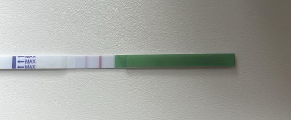 Může ovulační test zachytit ovulaci v noci?