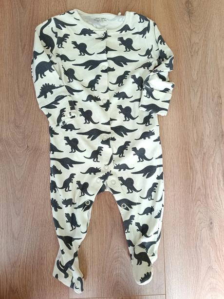 Overal s dinosaury 68 next, next,68