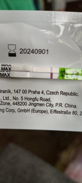 Je možné vidět něco na těhotenském testu?