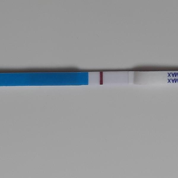 Dr. Max těhotenský test. Máte s ním zkušenost?