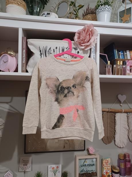 Mikina s čivavou zara, zara,116