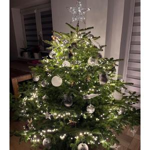 I vy už máte stromeček jako @lmartinkova85?