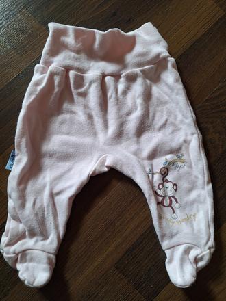 Polodupacky, japitex,56