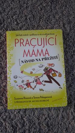 Pracující máma - návod na přežití, 