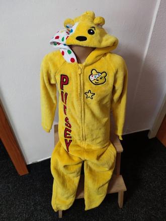 Pudsey medvěd, 