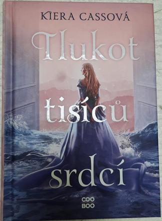 Kniha "tlukot tisíců srdcí" od kiera cassová,