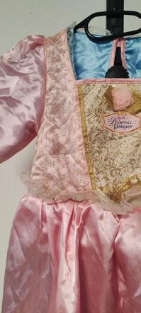 Šípková růženka, 