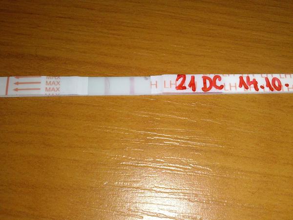 Je možné mít v jednom cyklu dvakrát ovulaci?