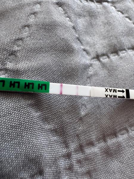 Rychlé změny v síle čárky na ovulačním testu?