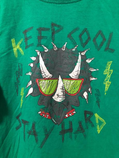 Zelené triko s dinosaurem, 116