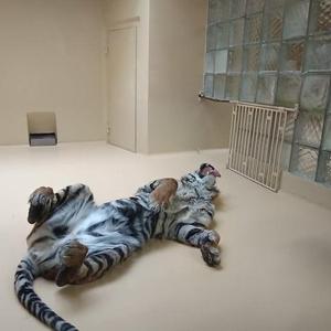 @fouskovi: Krásná zimní Zoo Jihlava 🙂🥰