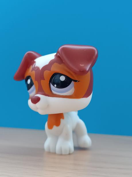 Lps pejsek jack russell teriér,