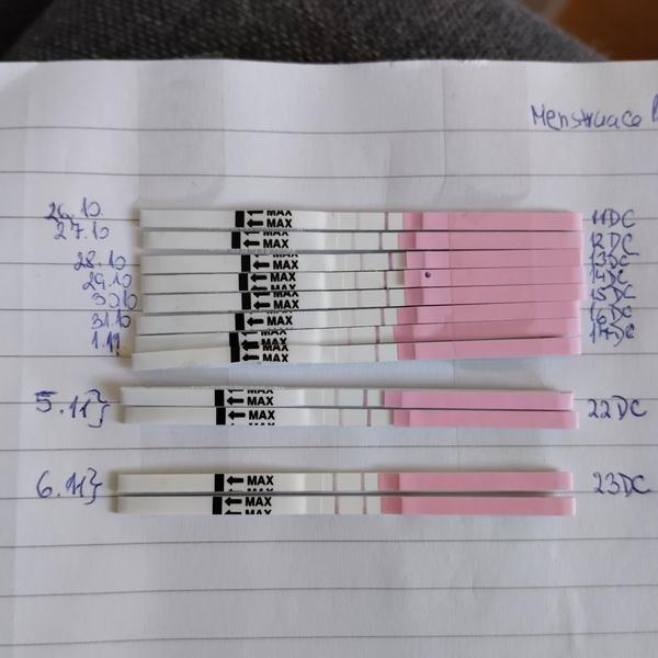 Je možná ovulace ve 23. dni cyklu?