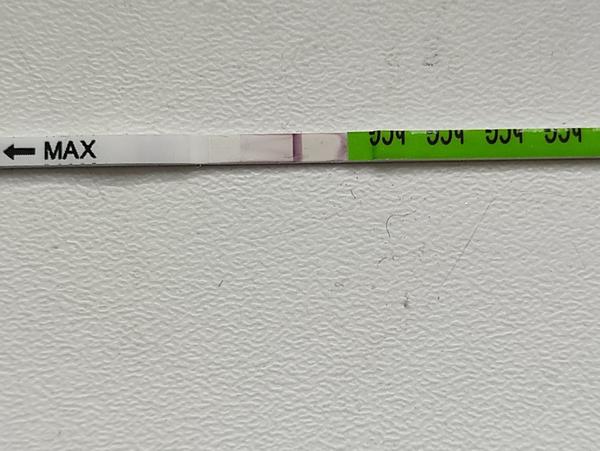 Je Na Těhotenském Testu Něco Vidět?