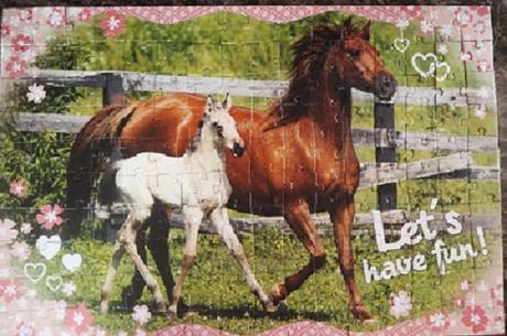 Puzzle - koně 6+ nepoužité,