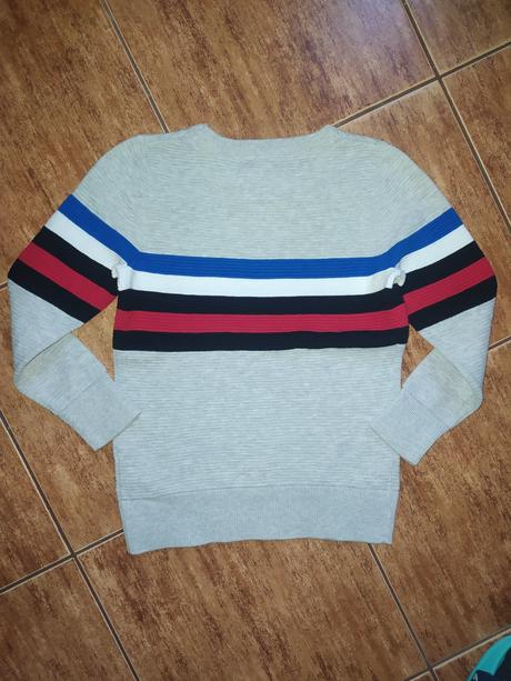 Svetřík, palomino,122