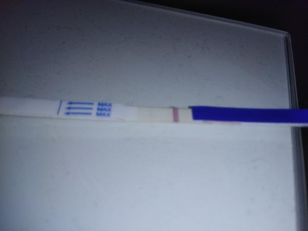 Světlá čárka na testu