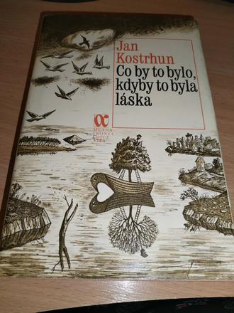 Kniha - co by bylo, kdyby to byla láska, 