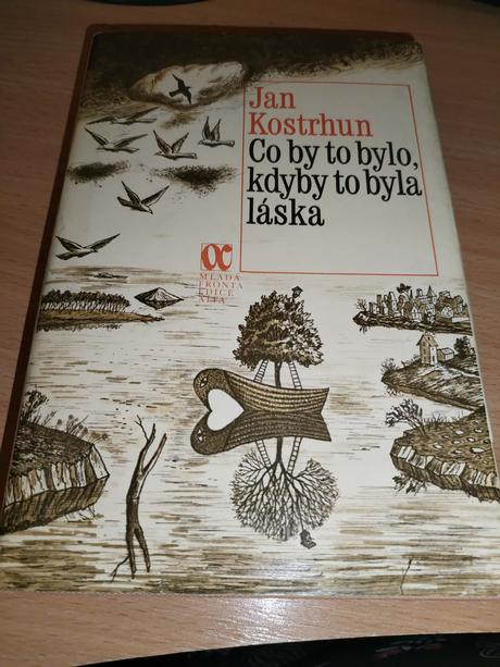 Kniha - co by bylo, kdyby to byla láska,