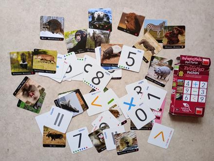 Pexeso angličtina se zvířaty dino, 