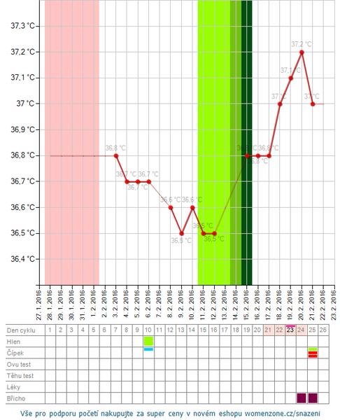 Jsem těhotná, co myslíte?